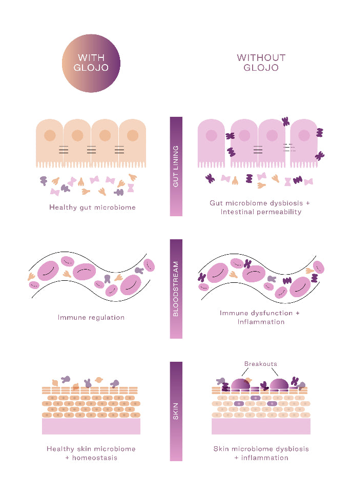 Skin comparison with and without glojo product